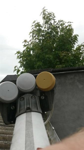 post-42471-0-57916600-1470769497_thumb.j