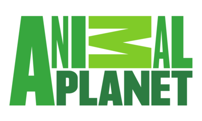 animalplanet.png.0382f94dd1cc3acd863c37f10297ae3f.png