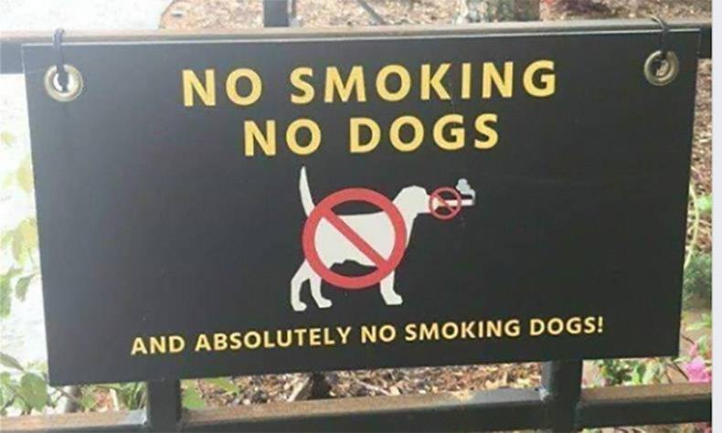 228876942_Nosmokingdogs.jpg.71ec017387e7c2efbf7968582efa866e.jpg