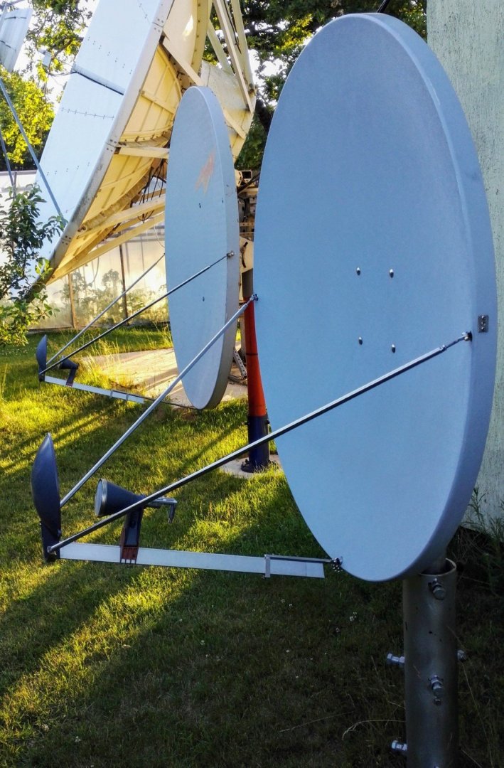 IMG_20190617_211818 (Large).jpg