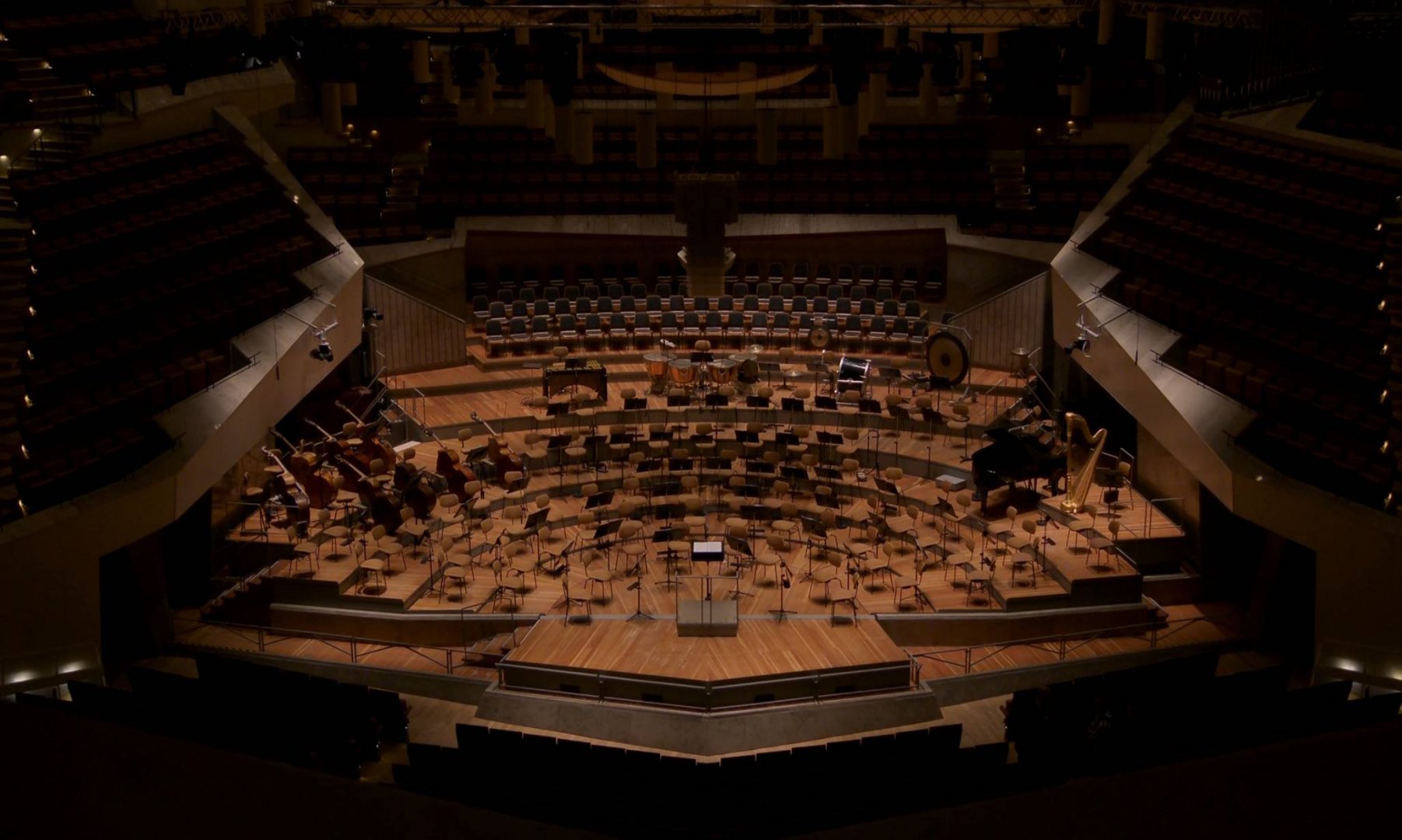 Phil Berlin_3592 11526_V_12891_20190823_180235.jpg