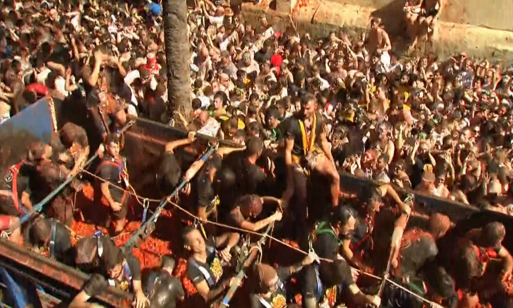 Reuters TV News_3380 11126_H_17250_20190828_112747.jpg