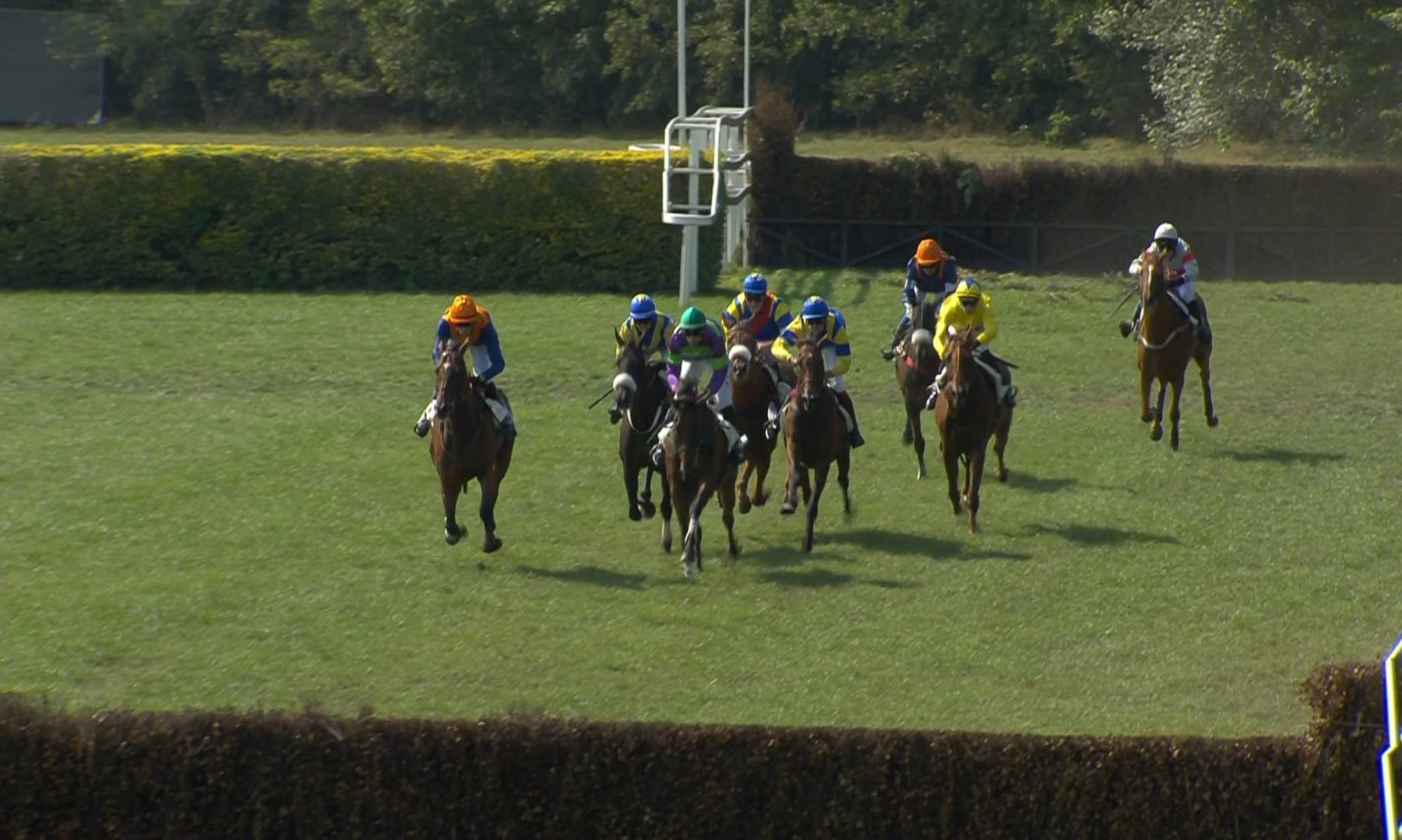 SES BEL095 Waregem Koerse WTV PGM_0235 11662_H_9875_20190827_161832.jpg