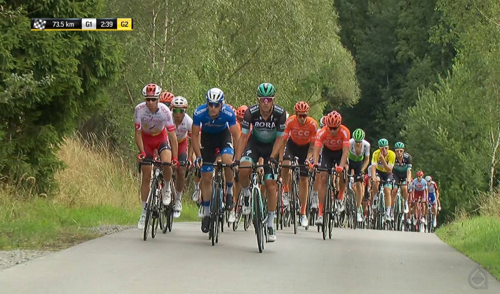 POL-12 HD_0070 11093_V_9874_20190807_145236.jpg