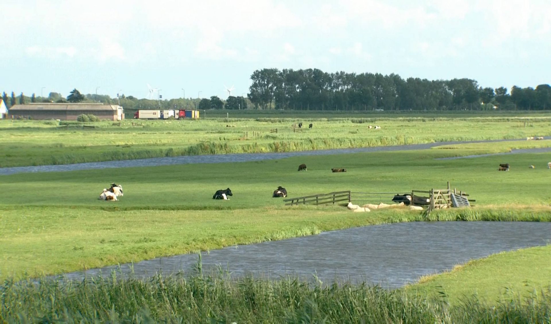 NLUSS HOL219-1_0070 11105_H_9874_20190807_142901.jpg