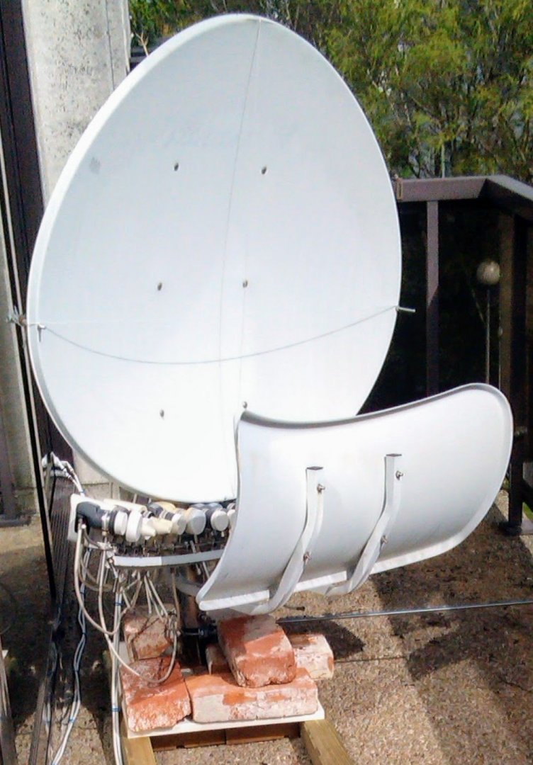 IMAG0136 (Large).jpg