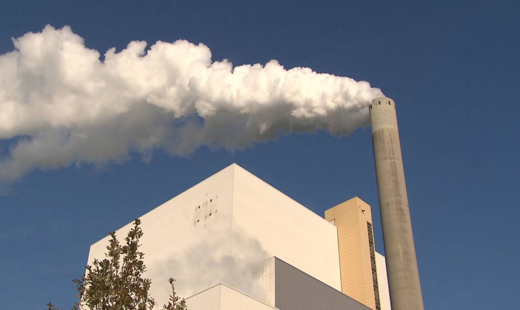 NLUSS-HOL313-1_3520 12611_V_6016_20191223_162844.jpg