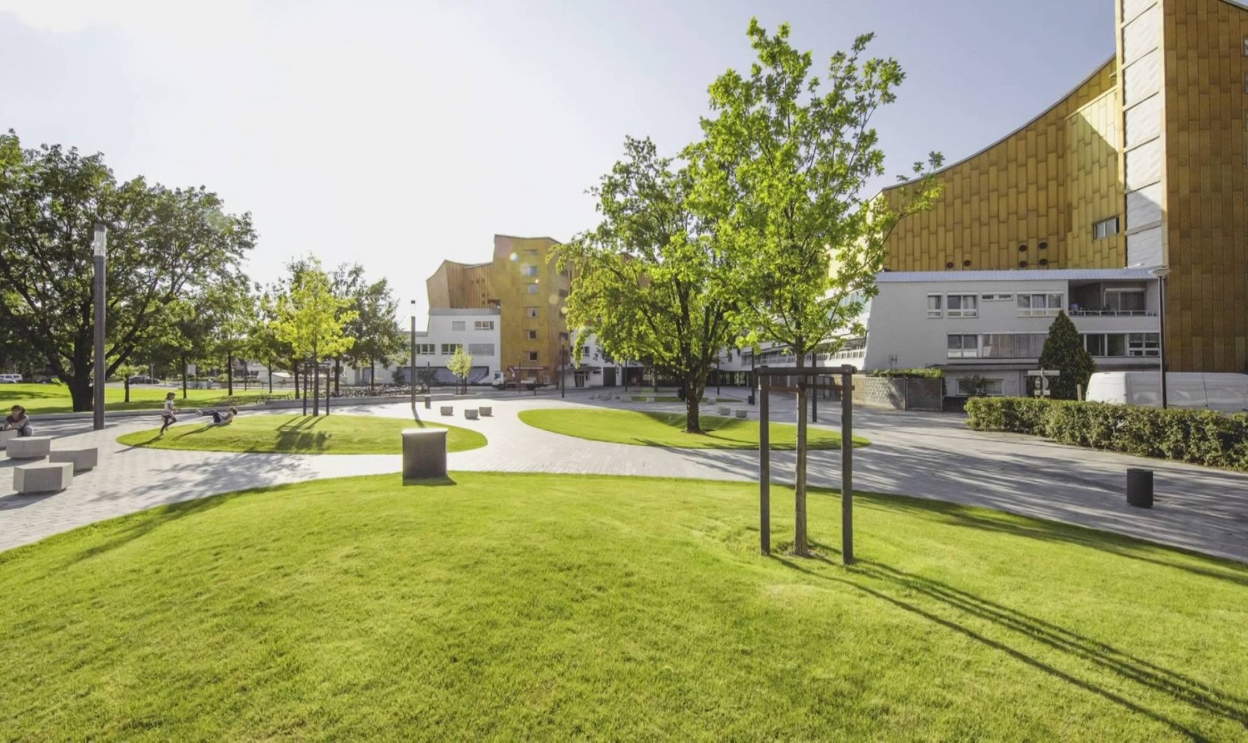 Phil Berlin_3592 11526_V_12891_20191231_165153.jpg