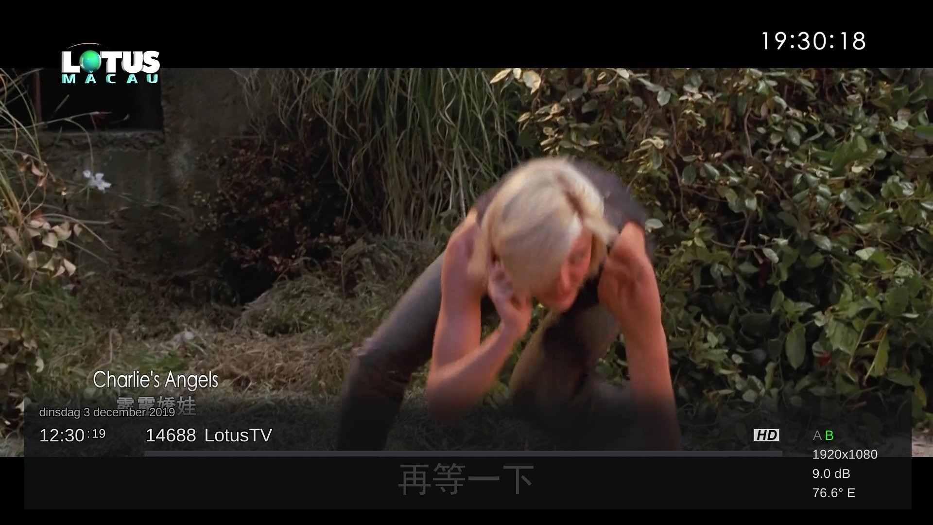 1_0_1_40_1_1_2FE8EC4_0_0_0_20191203123020 lotus.jpg