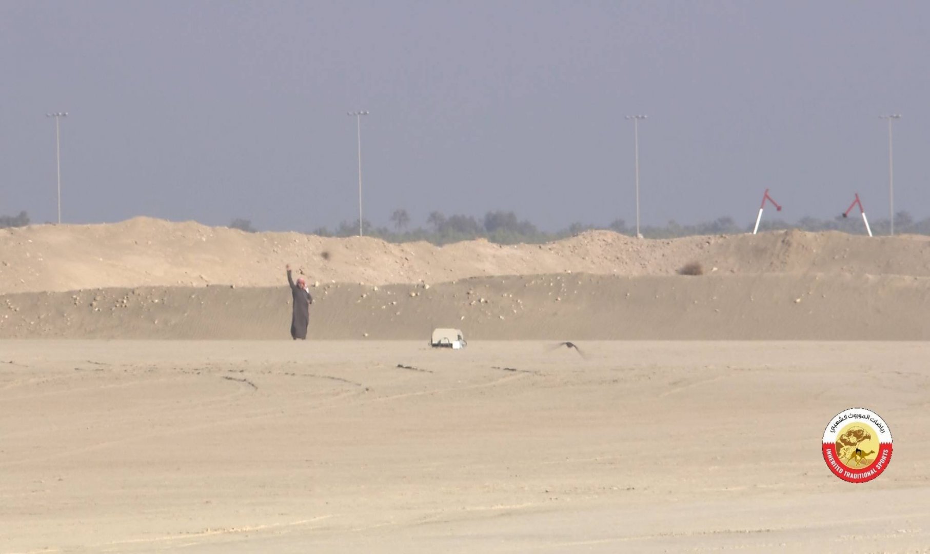 GOGOGUU_0215 11526_V_4830_20200106_110419.jpg