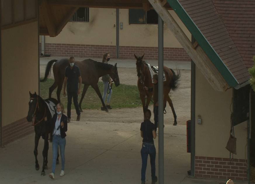 GCR_F39_1_pmu_0070 11189_H_9600_20200726_192044.jpg