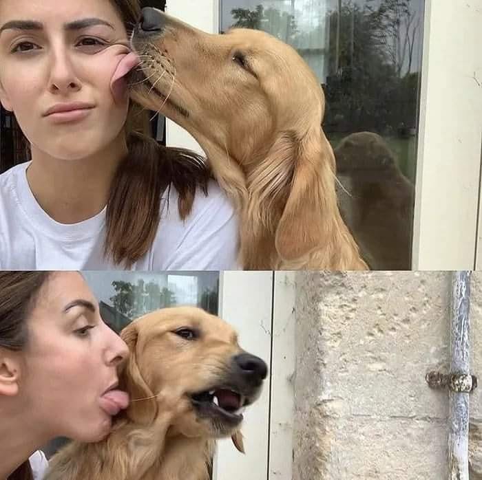 Lick.jpg.38143e88318b67c5654e807640324072.jpg