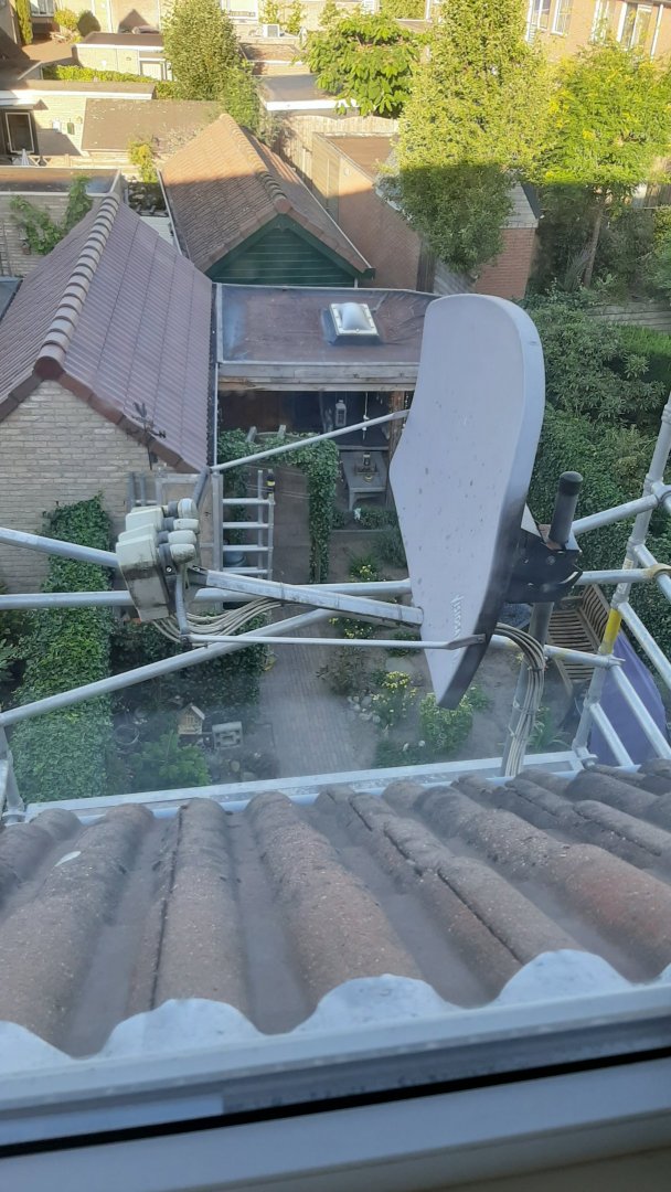 2020-07-31 07.47.38.jpg