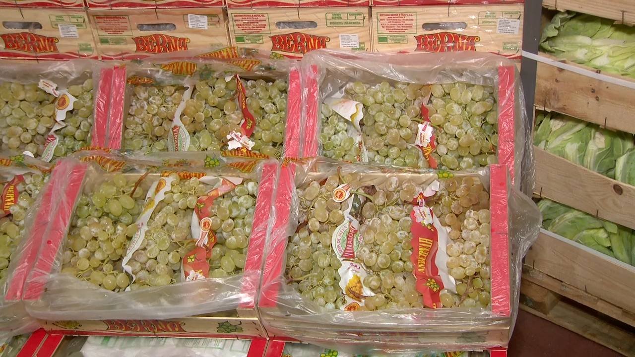 E331_FEED_1_3300 11548_H_3600_20201219_124702.jpg