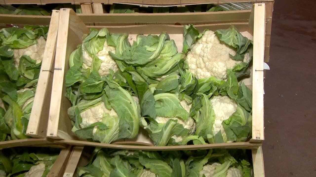 E331_FEED_1_3300 11548_H_3600_20201219_124336.jpg