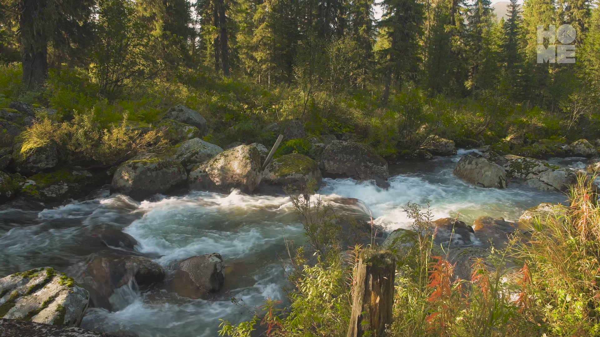 HOME 4K POLAND_3592 12705_V_45000_20210112_180837.jpg