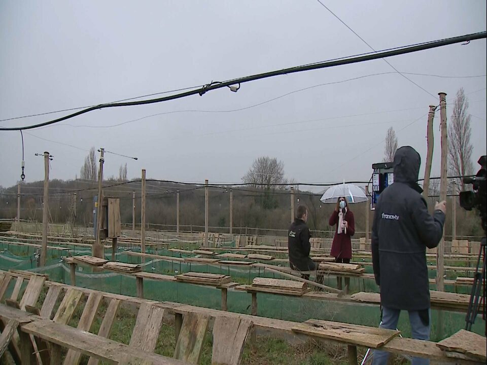 D1_3520 12549_V_4667_20210222_165240.jpg