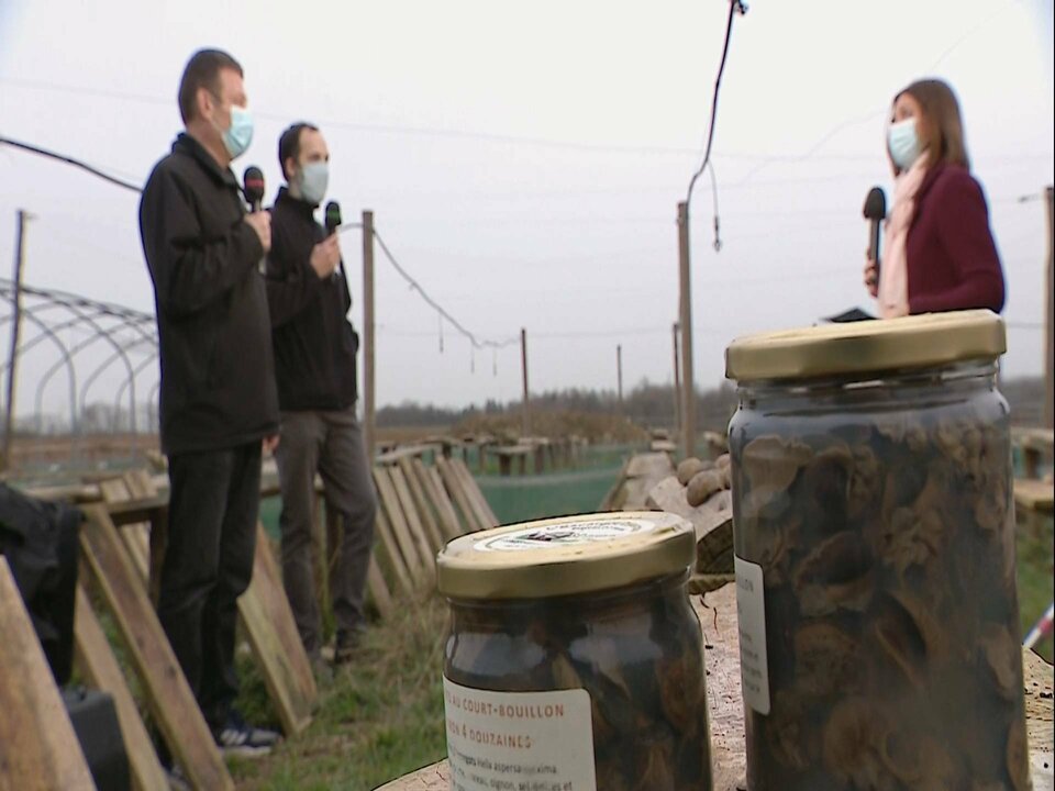 D1_3520 12549_V_4667_20210222_170917.jpg