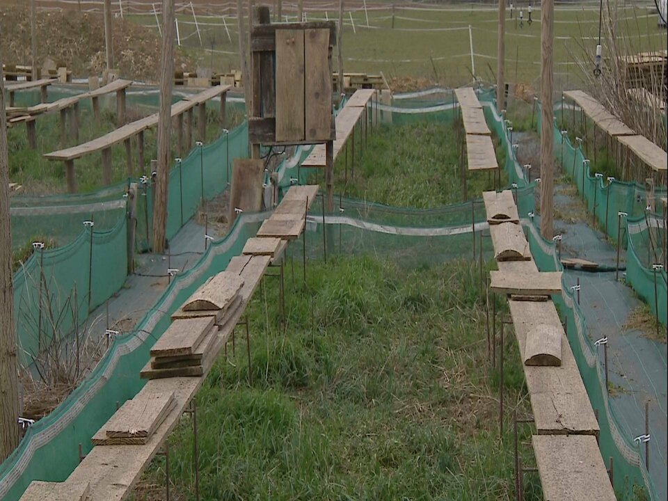 D1_3520 12549_V_4667_20210222_165016.jpg