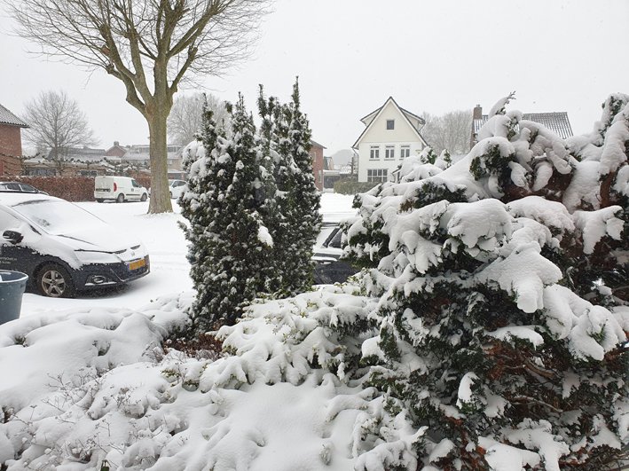 1637264910_sneeuwintwente1.jpg.b4bf1cee2ca123fdef9ea5aa3d366d32.jpg