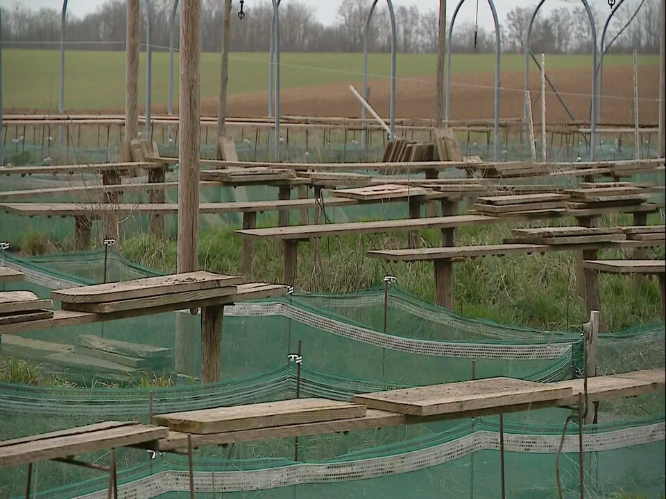 D1_3520 12549_V_4667_20210222_165043.jpg