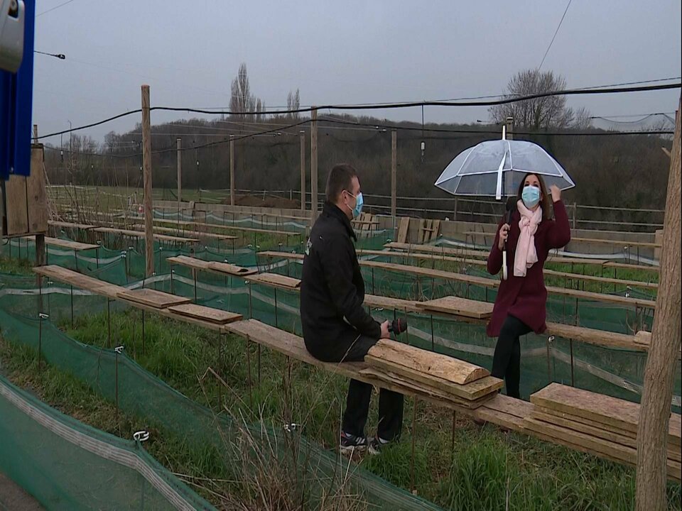 D1_3520 12549_V_4667_20210222_165304.jpg