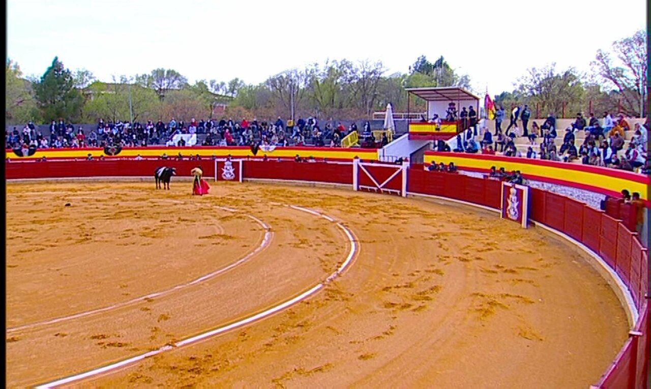 TCLM04_E291_VIA1_3300 12720_H_6750_20210327_171440.jpg