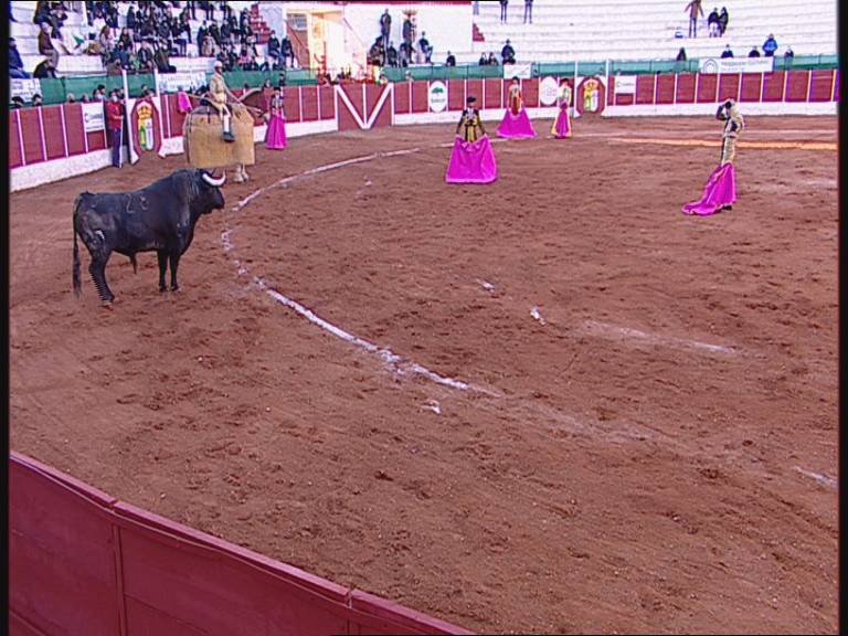 TCLM04_E291_VIA1_3300 12579_H_6750_20210320_183722.jpg