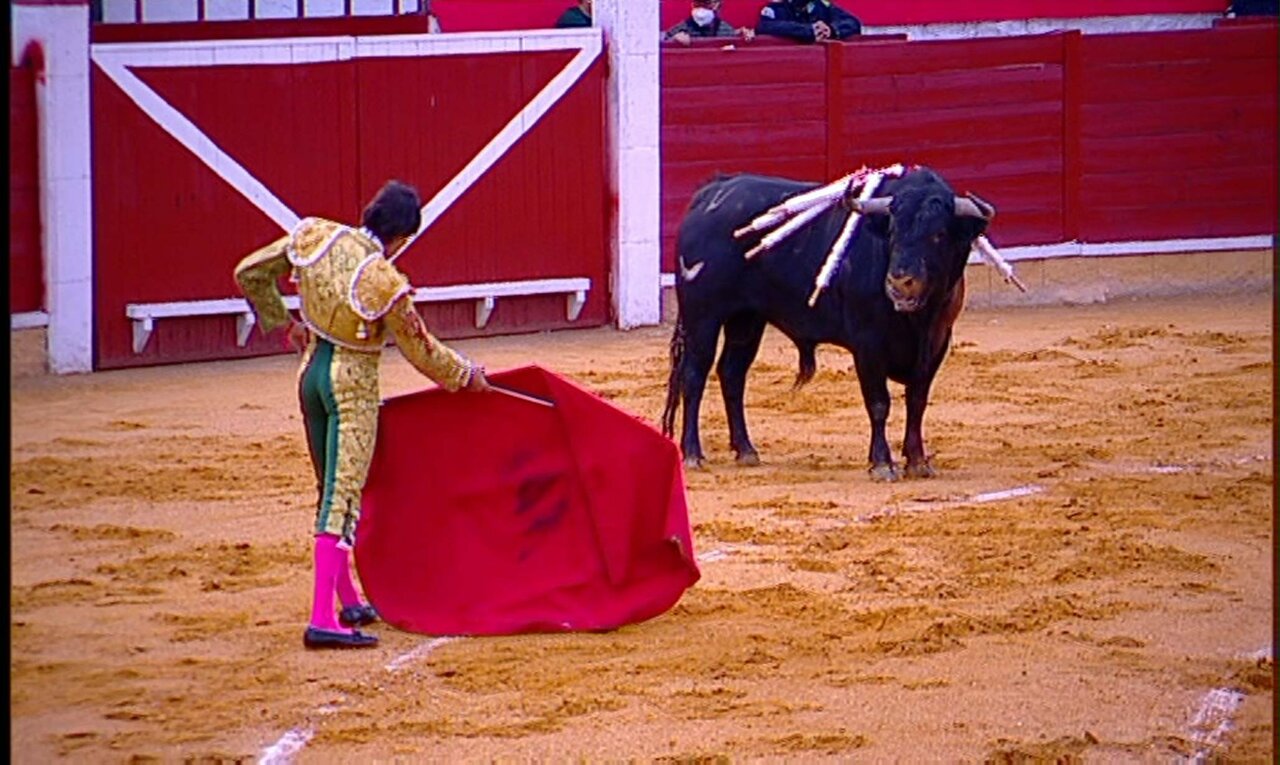 TCLM04_E291_VIA1_3300 12720_H_6750_20210327_171545.jpg