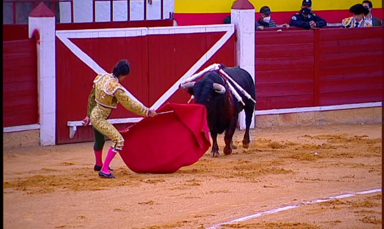 TCLM04_E291_VIA1_3300 12720_H_6750_20210327_171351.jpg