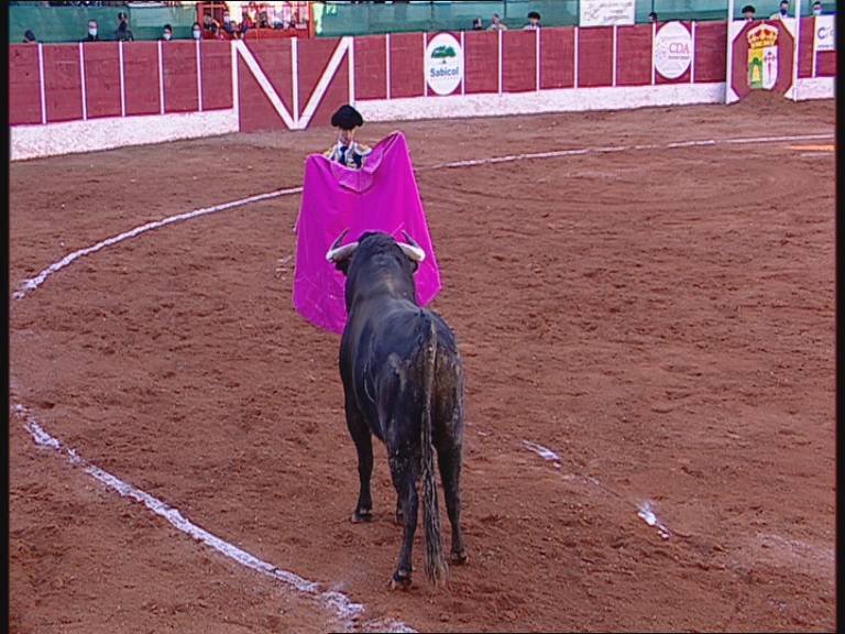 TCLM04_E291_VIA1_3300 12579_H_6750_20210320_183538.jpg