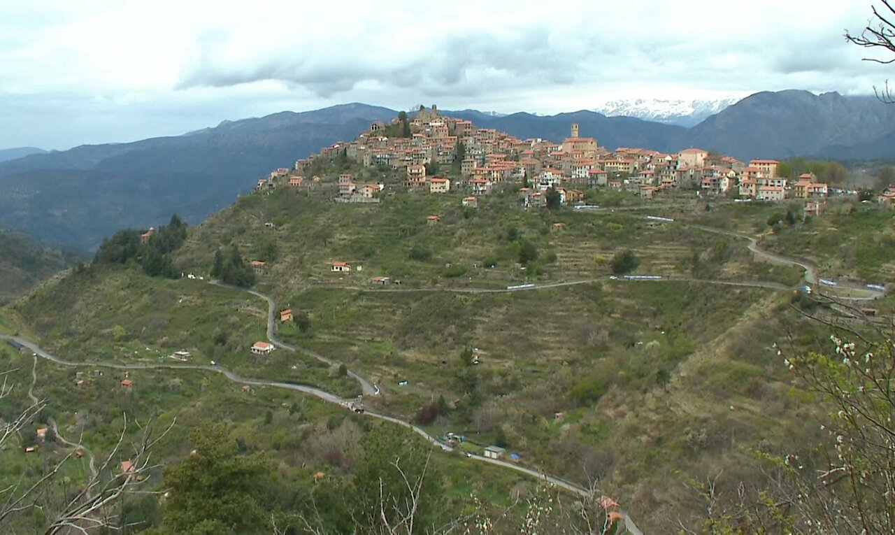 ITA229 main_3490 11546_H_3600_20210410_163630.jpg