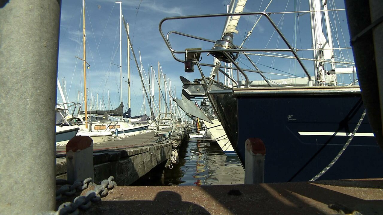 NDR D-550 ENC1_0235 12718_V_7200_20210616_173817.jpg