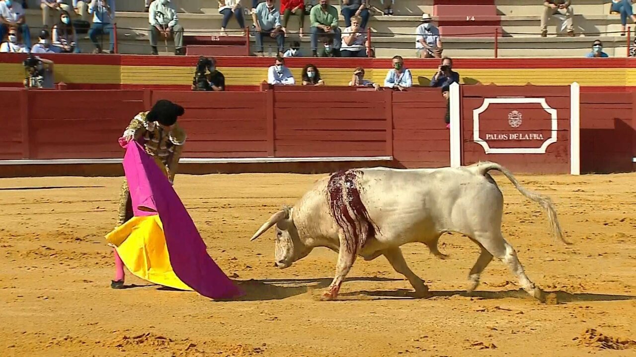 E306 VALLE_3300 11565_H_6750_20210605_184258.jpg