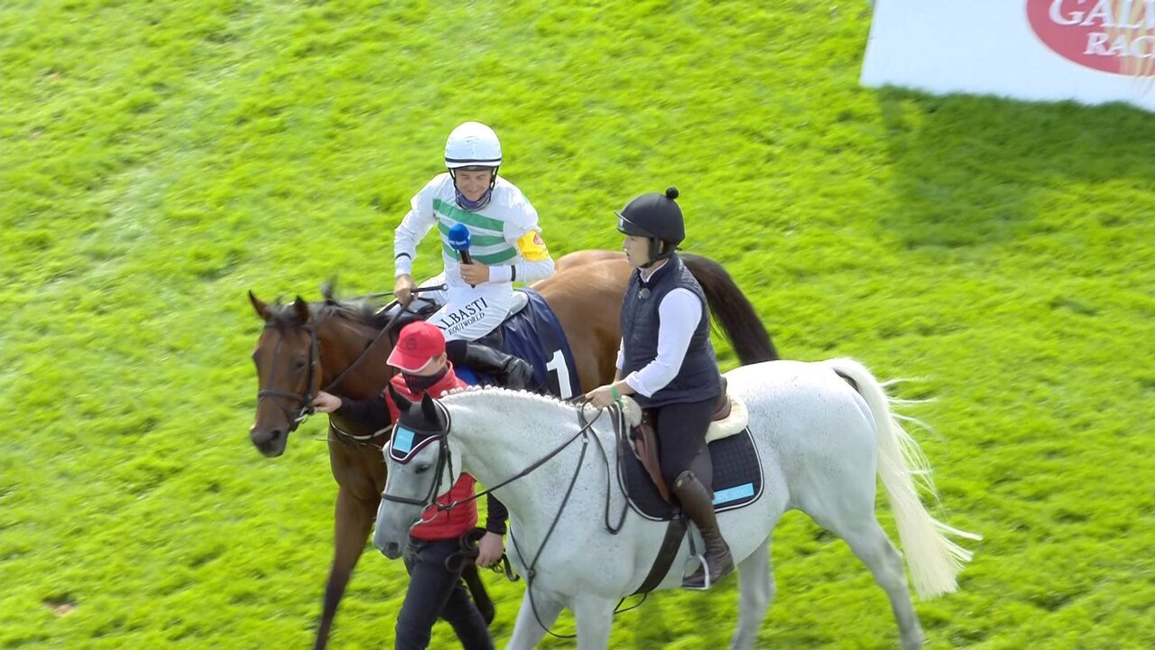 Vitel P1_3592 11471_V_9874_20210727_181533.jpg