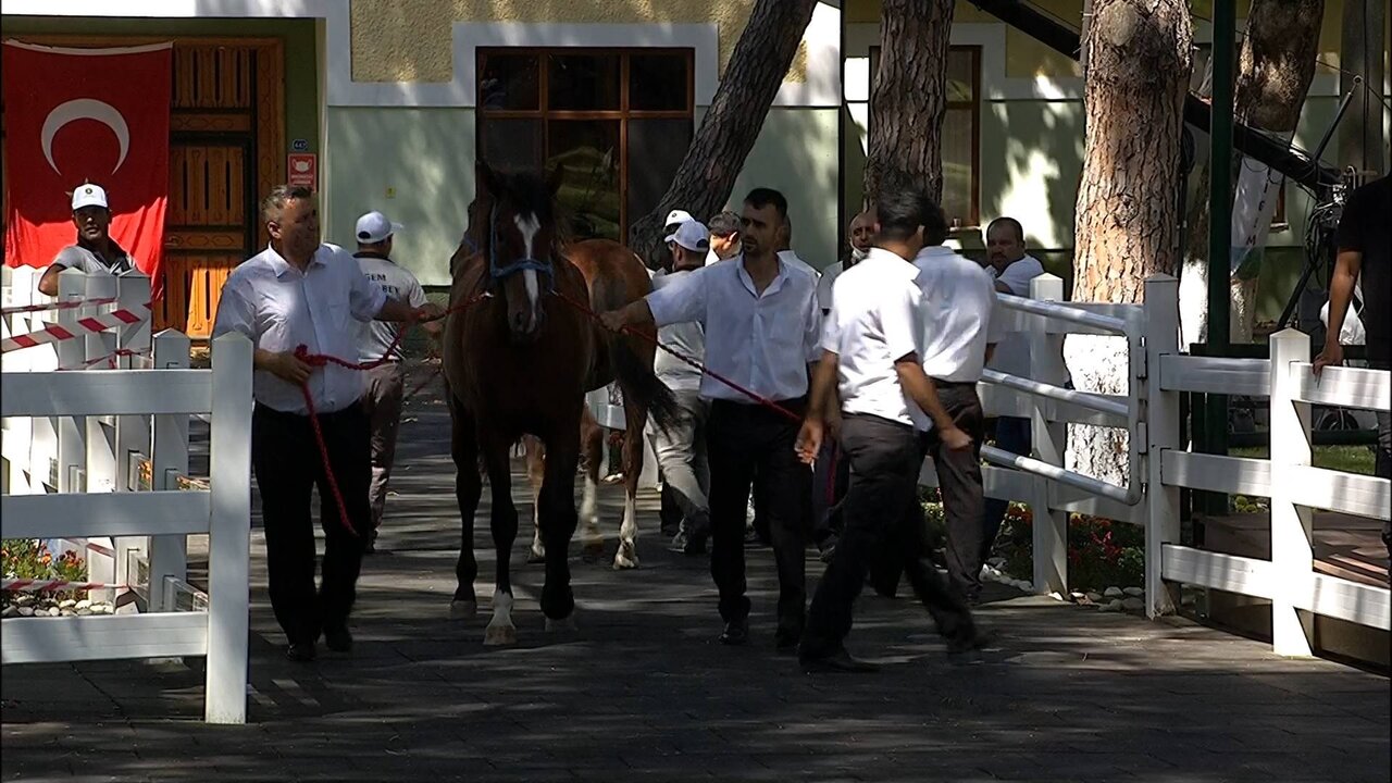 BYB_0160 12632_H_5000_20210727_141256.jpg