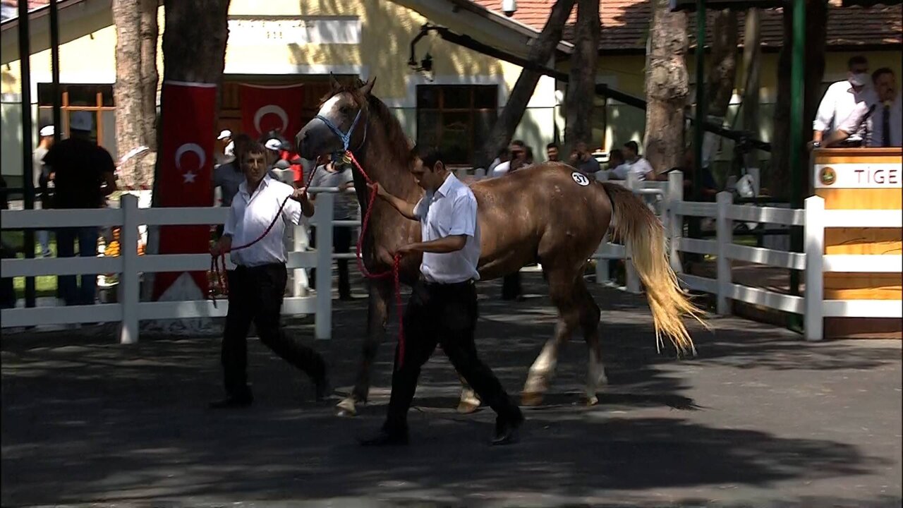 BYB_0160 12632_H_5000_20210727_135735.jpg