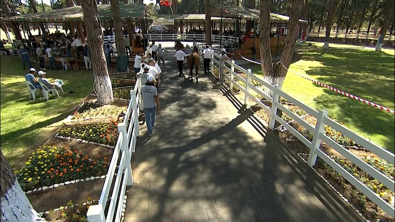 BYB_0160 12632_H_5000_20210727_141252.jpg