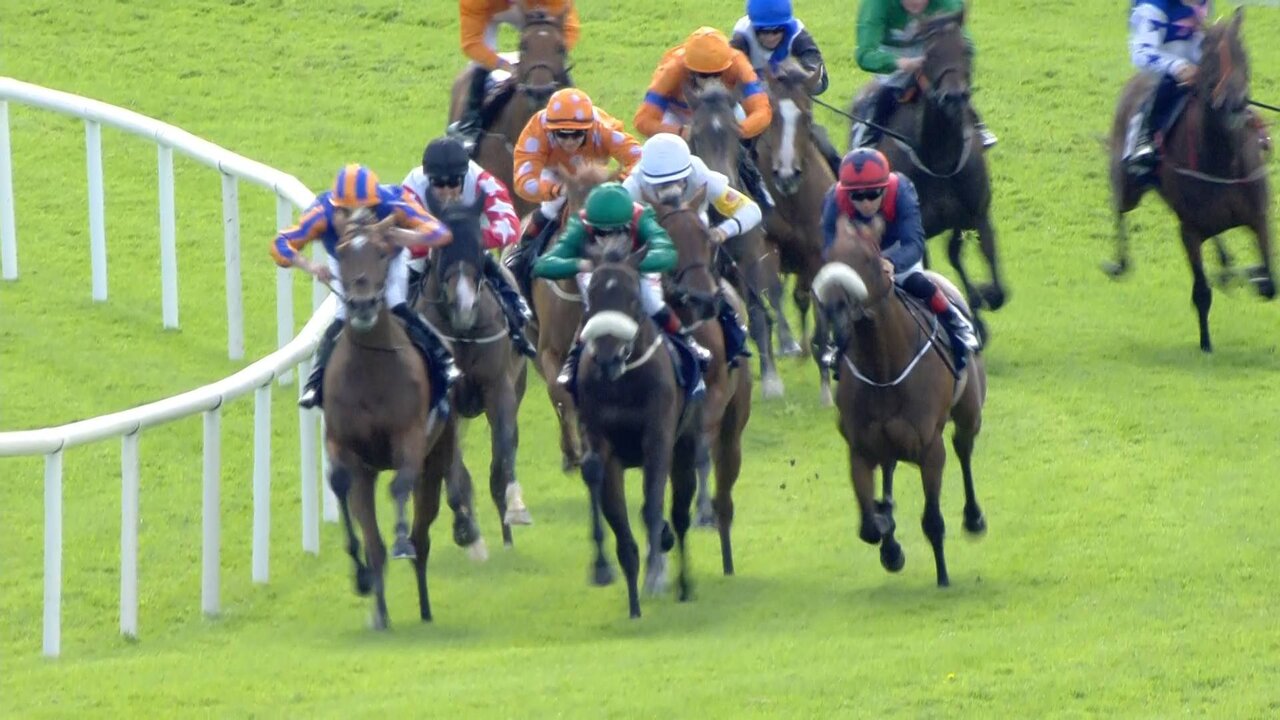 Vitel P1_3592 11471_V_9874_20210727_181339.jpg