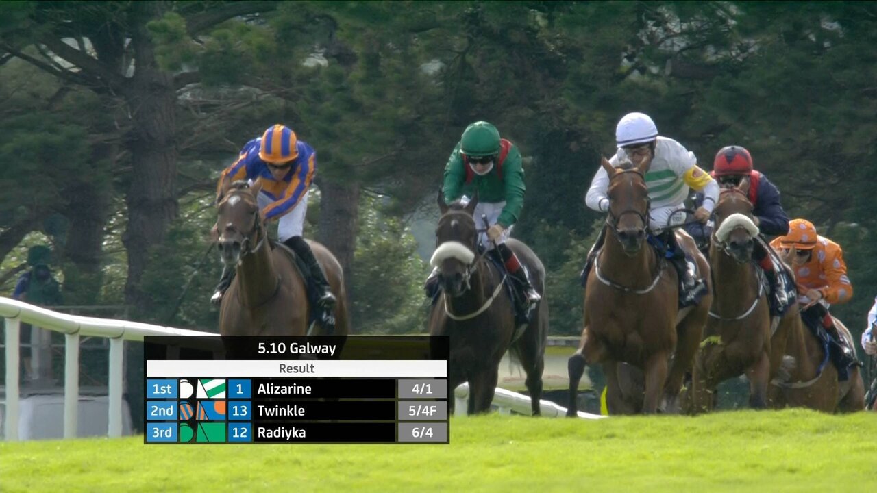 Vitel P1_3592 11471_V_9874_20210727_181405.jpg