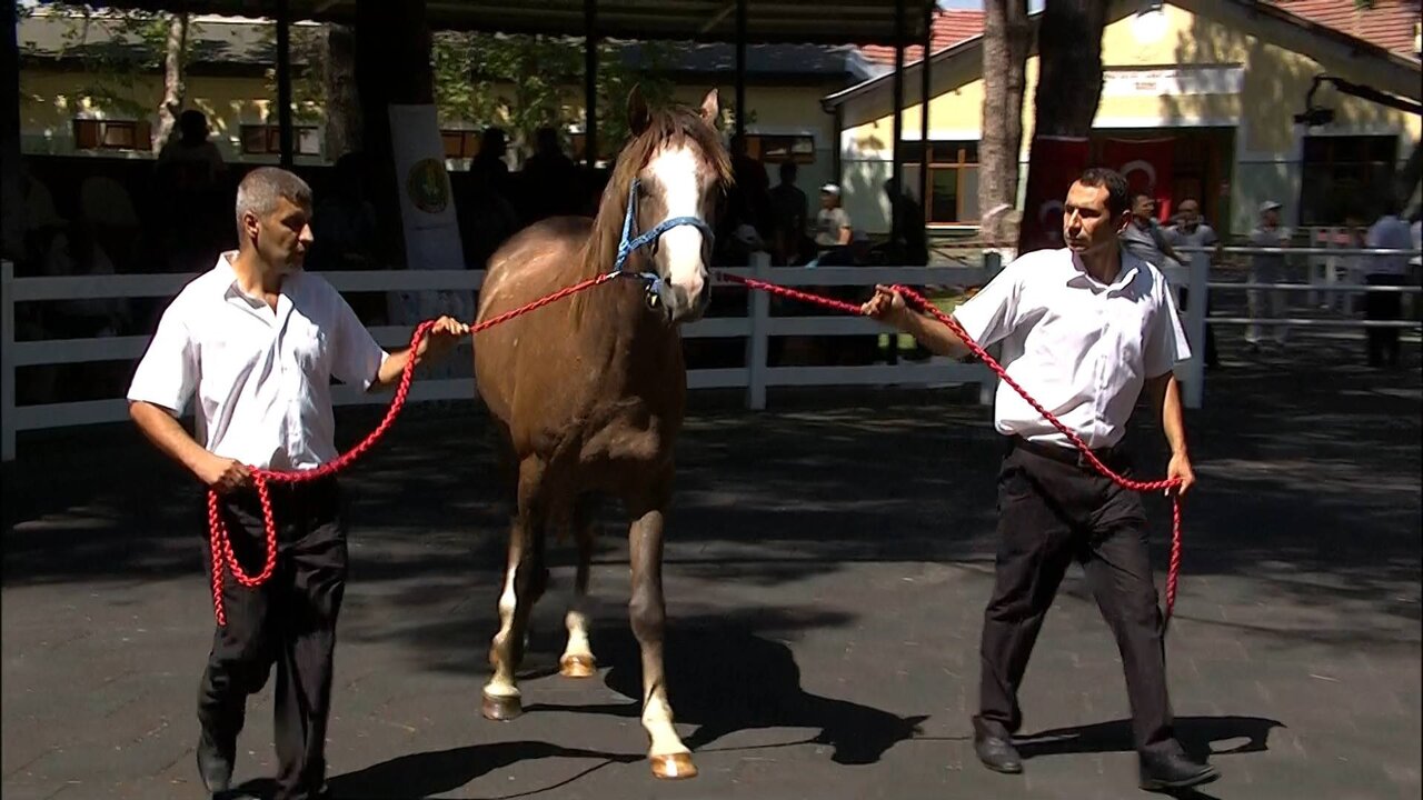 BYB_0160 12632_H_5000_20210727_135742.jpg