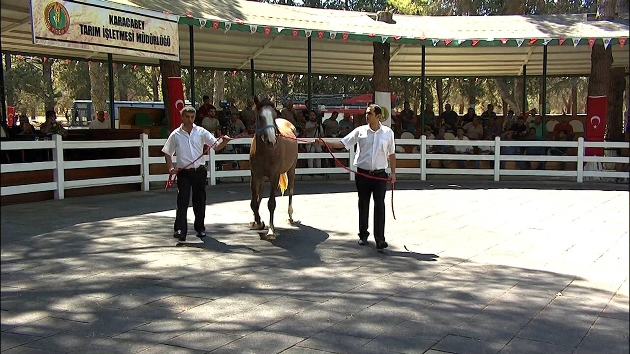 BYB_0160 12632_H_5000_20210727_135748.jpg