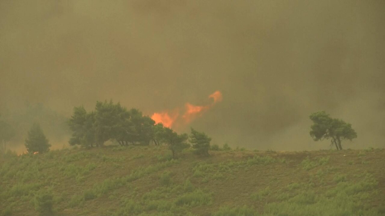 Reuters TV News_3380 11126_H_17250_20210805_180515.jpg