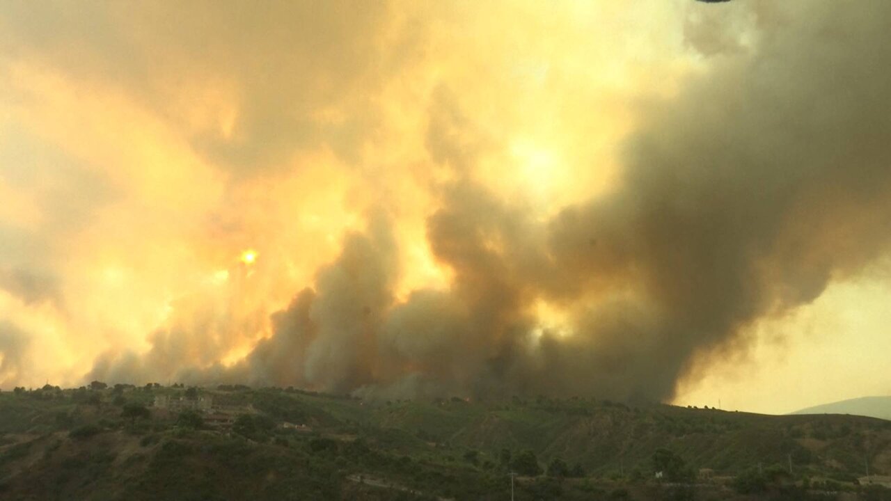 Reuters TV News_3380 11126_H_17250_20210805_180637.jpg