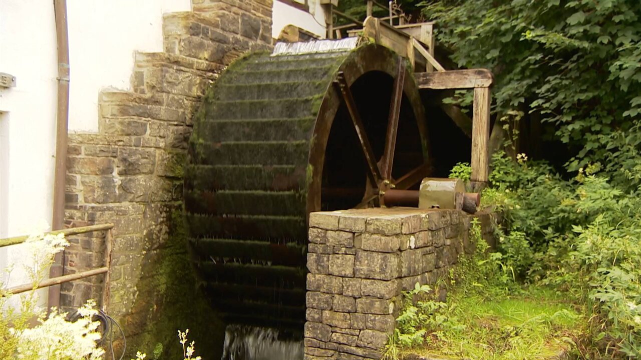 Service-1_0235 12681_V_4800_20210807_183909.jpg