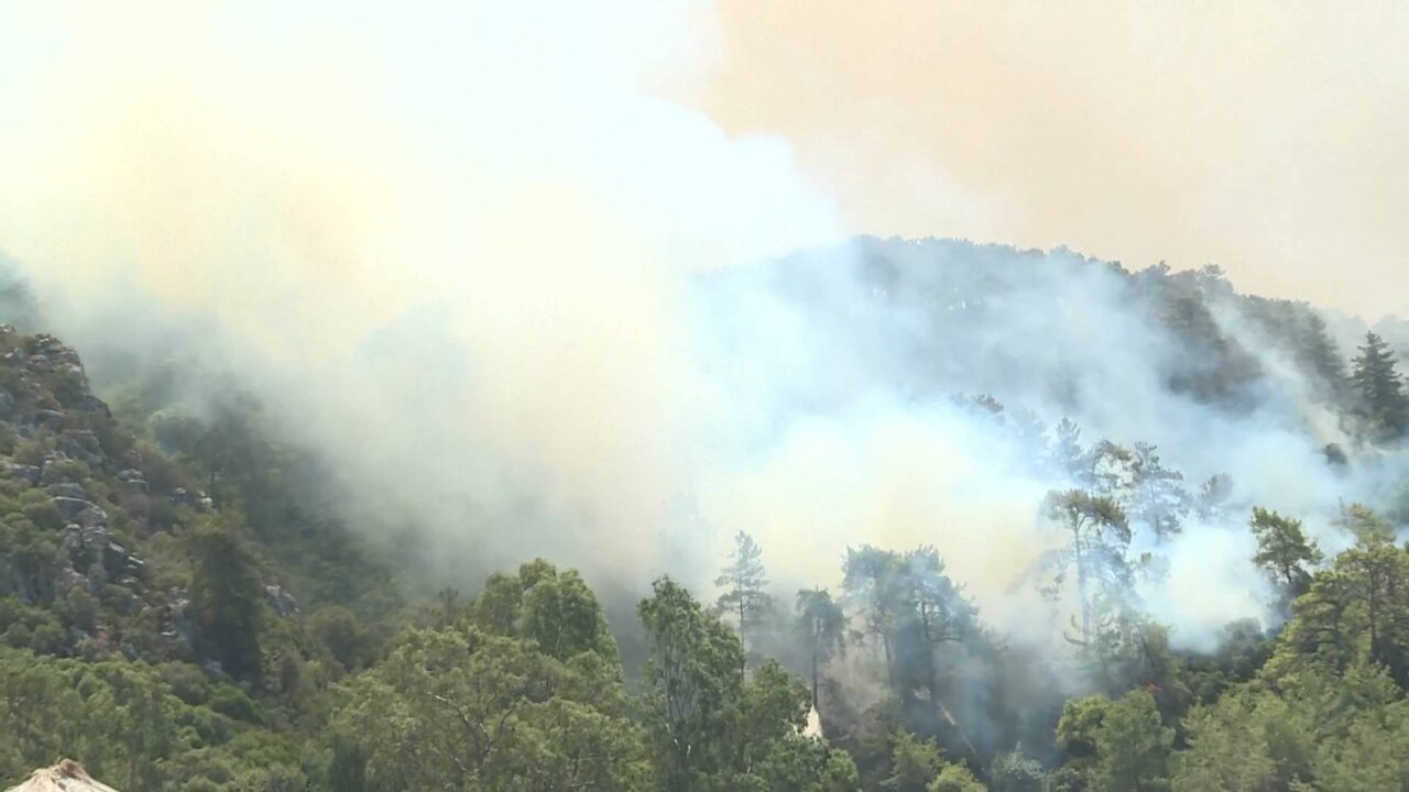 AFP2 EU_0100 11346_H_27500_20210803_115026.jpg