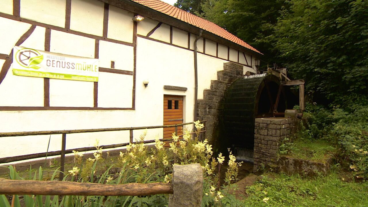 Service-1_0235 12681_V_4800_20210807_183924.jpg