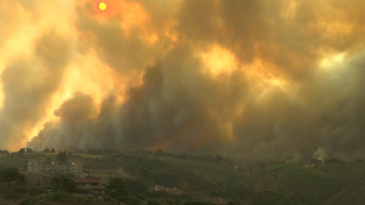 Reuters TV News_3380 11126_H_17250_20210805_180203.jpg