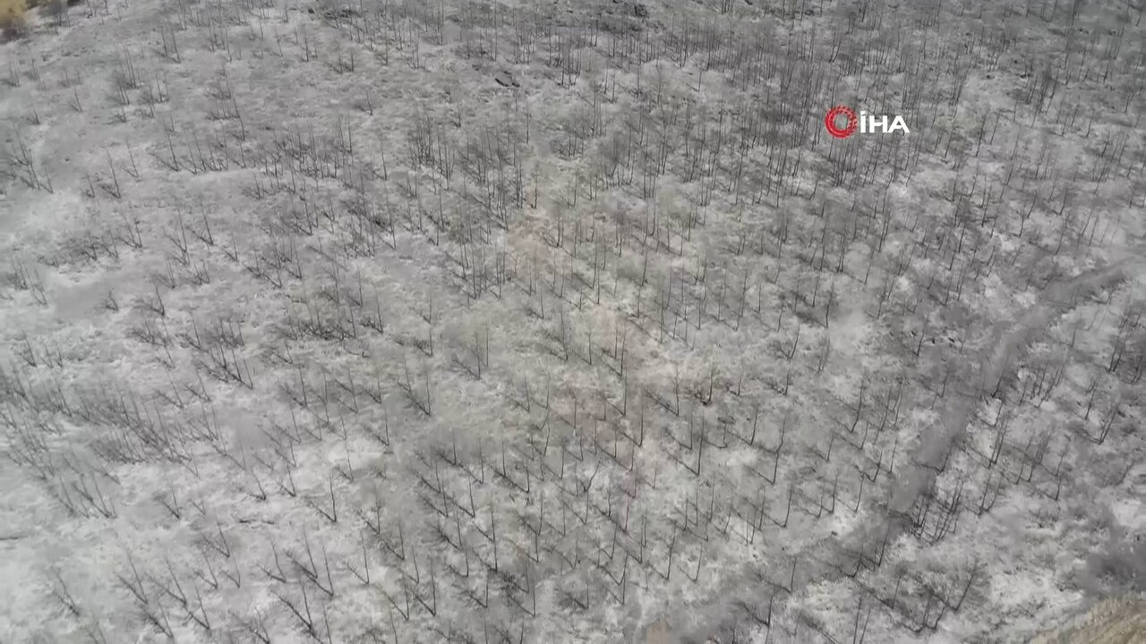 IHA ANA YAYIN_0100 11053_H_3333_20210803_121403.jpg