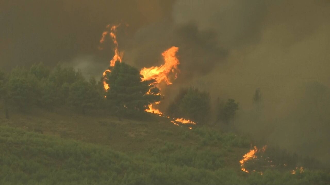 Reuters TV News_3380 11126_H_17250_20210805_180303.jpg